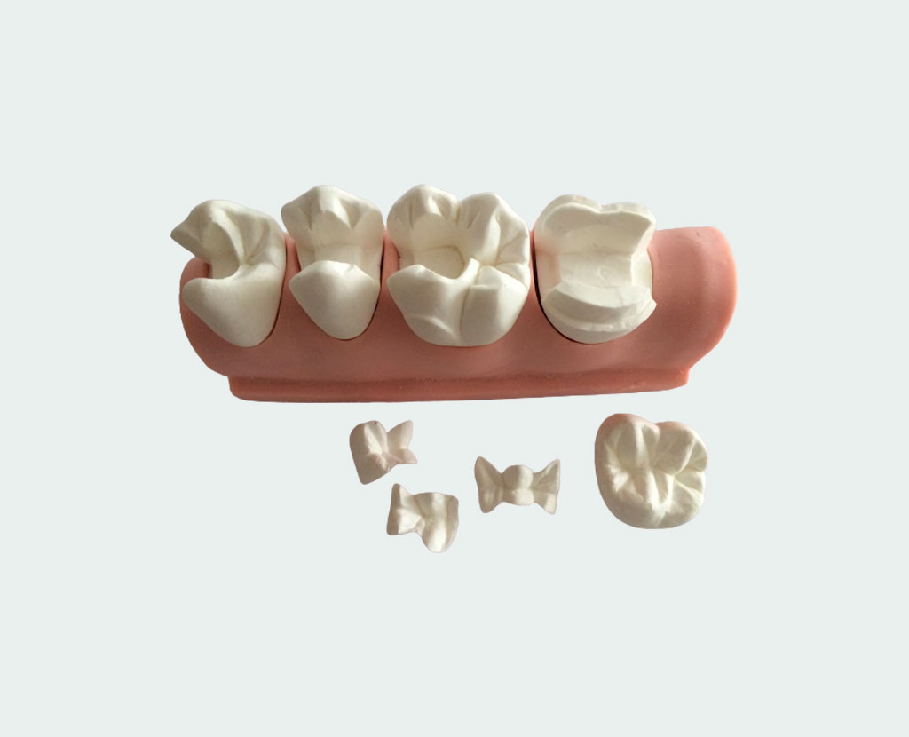 Строение зуба человека схема